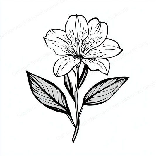 Alstroemeria Vector Graphic preview