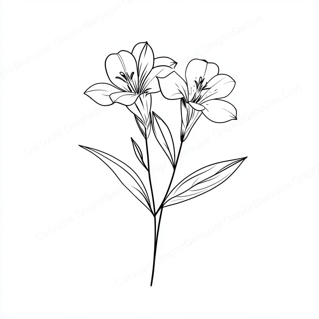 Alstroemeria Vector Graphic preview