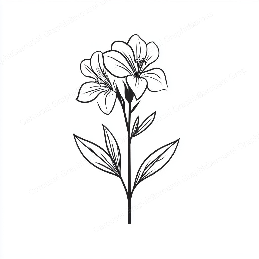 Alstroemeria Vector Graphic preview