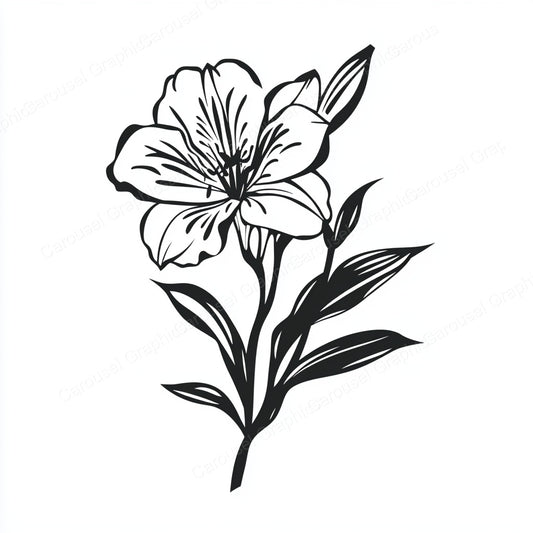 Alstroemeria Vector Graphic preview