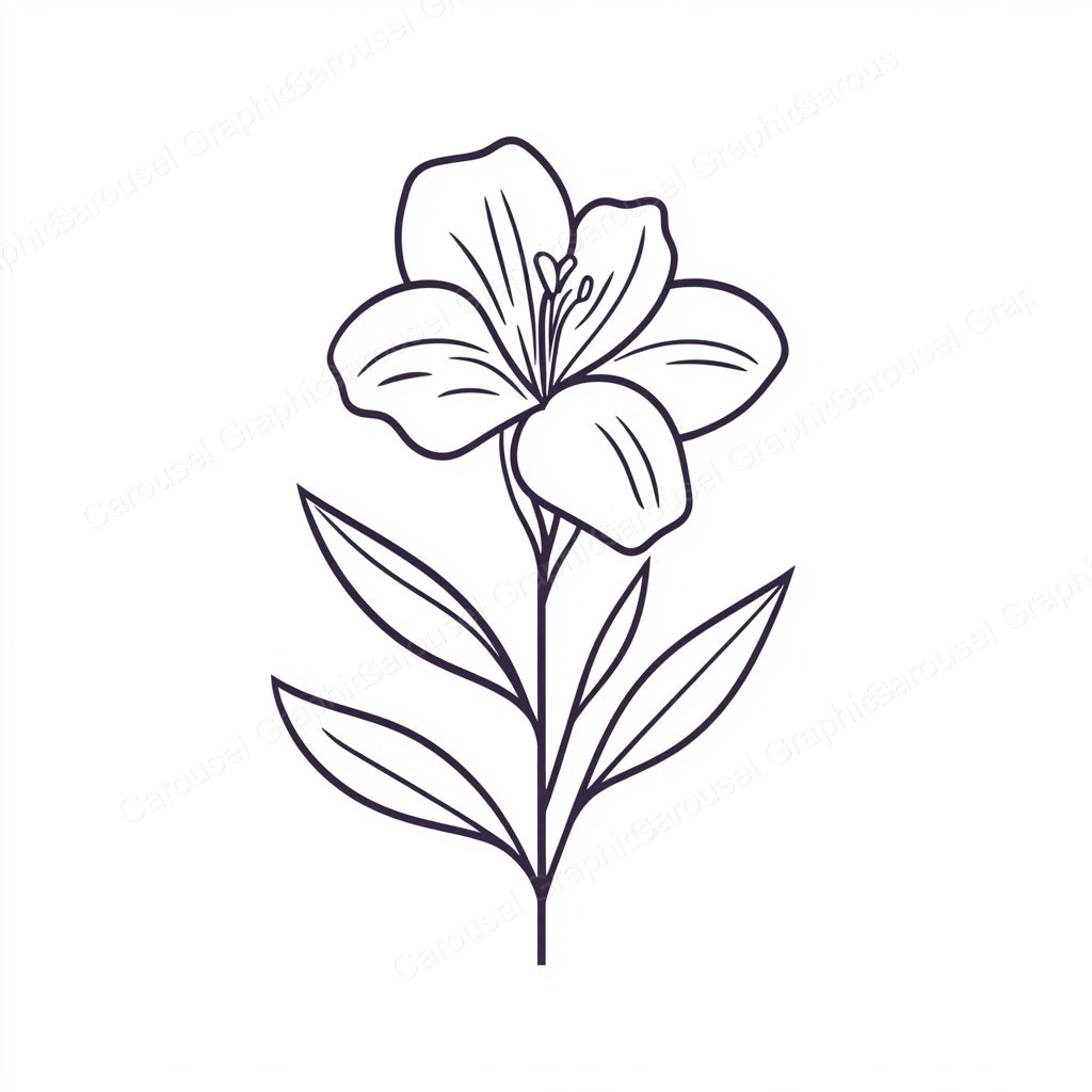 Alstroemeria Vector Graphic preview