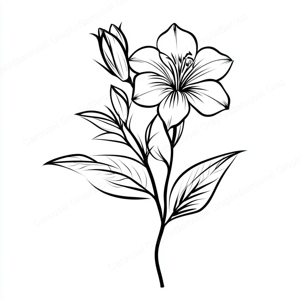 Alstroemeria Vector Graphic preview