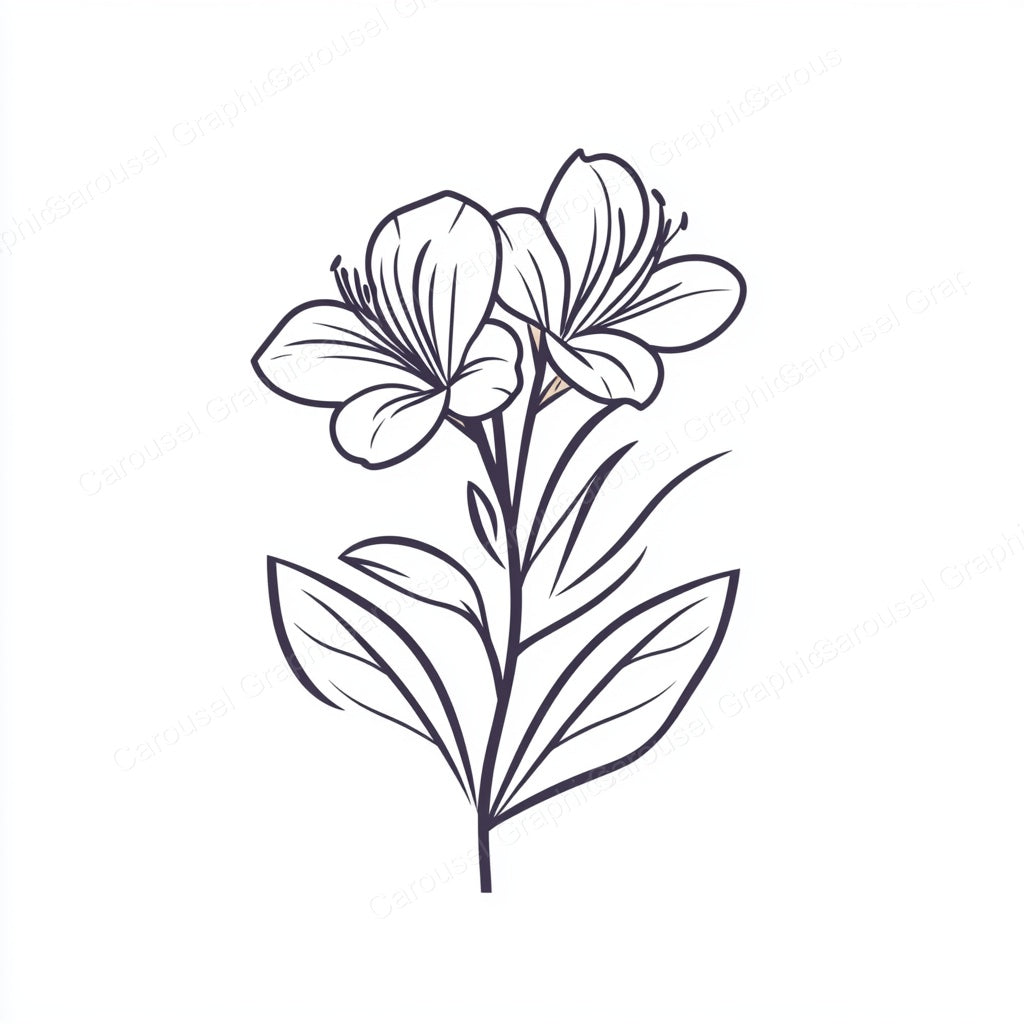 Alstroemeria Vector Graphic preview