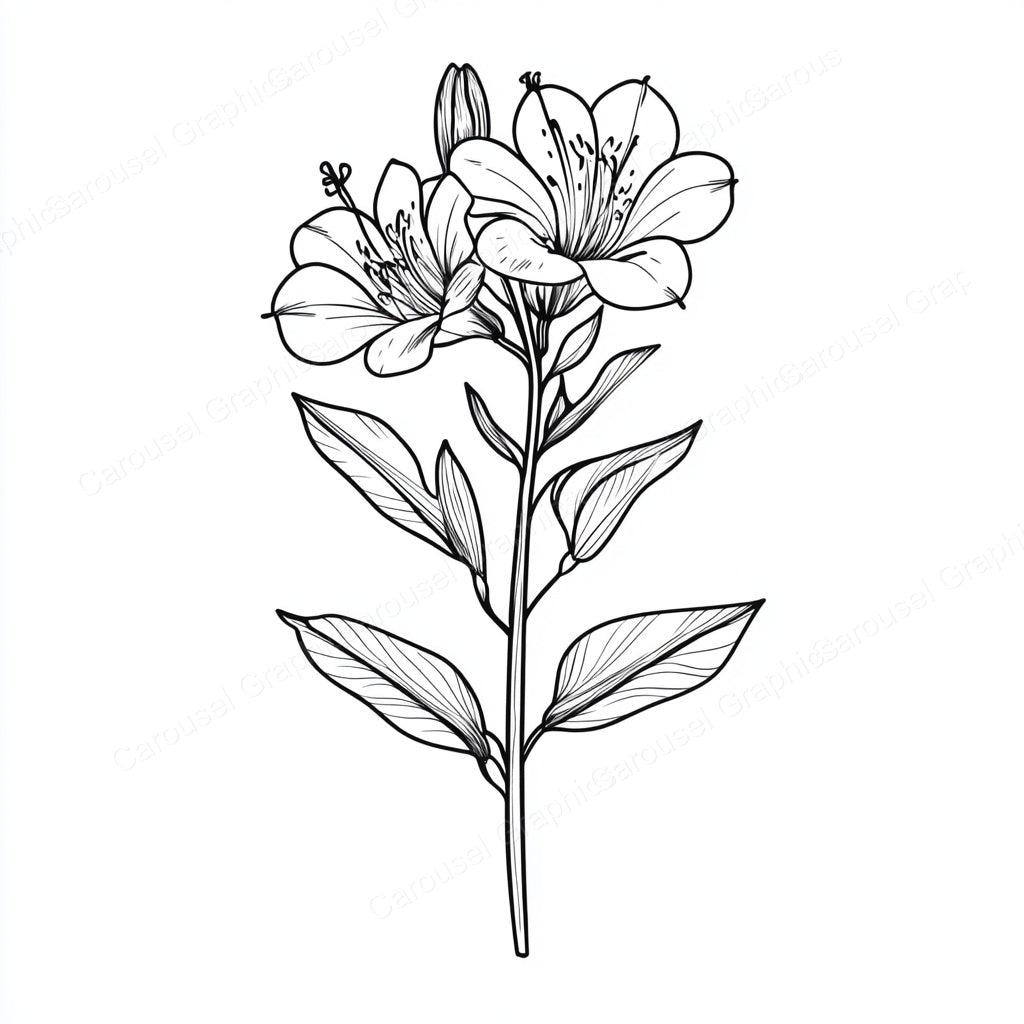 Alstroemeria Vector Graphic preview