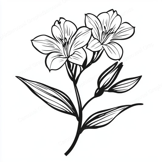 Alstroemeria Vector Graphic preview