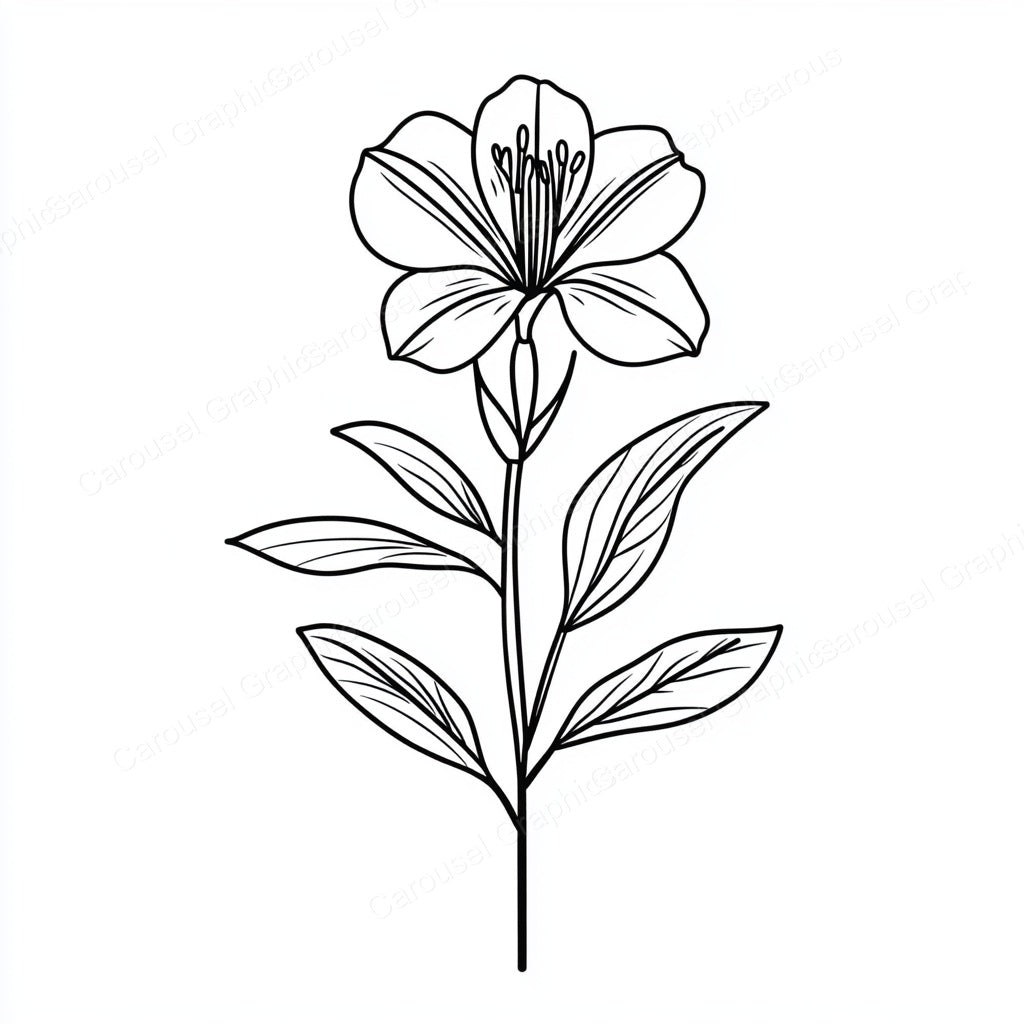 Alstroemeria Vector Graphic preview