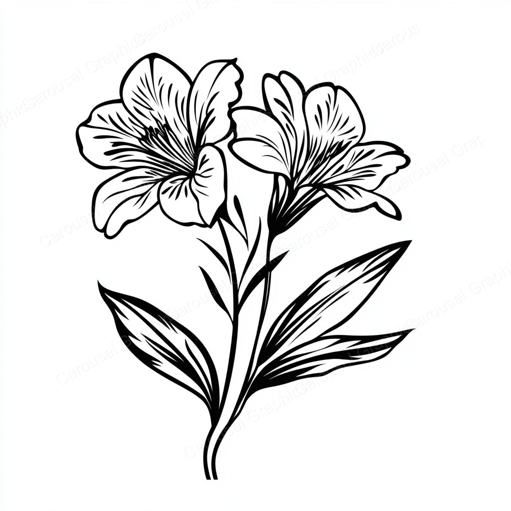 Alstroemeria Vector Graphic preview
