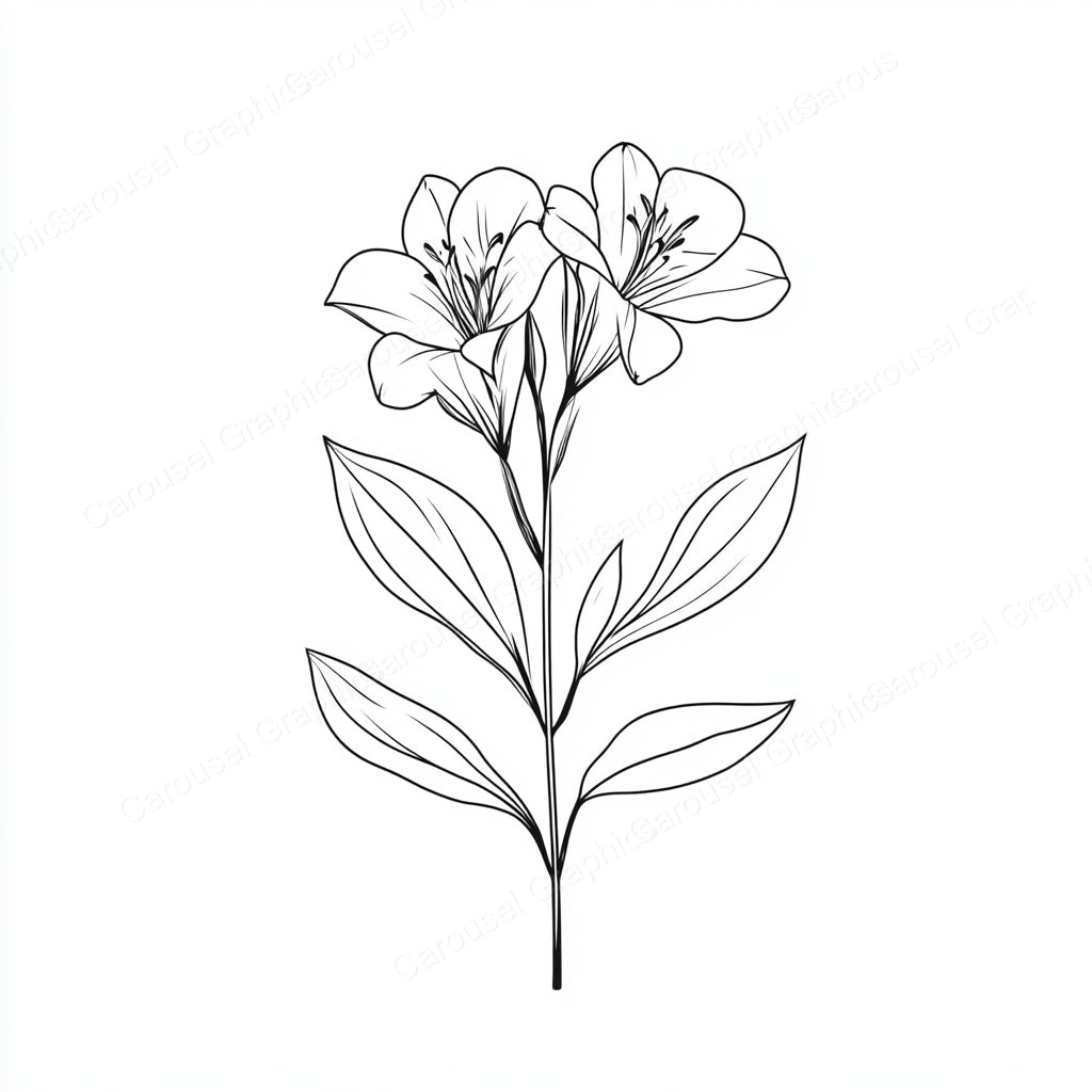 Alstroemeria Vector Graphic preview