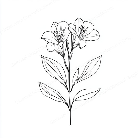 Alstroemeria Vector Graphic preview