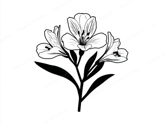 Alstroemeria Vector Graphic preview