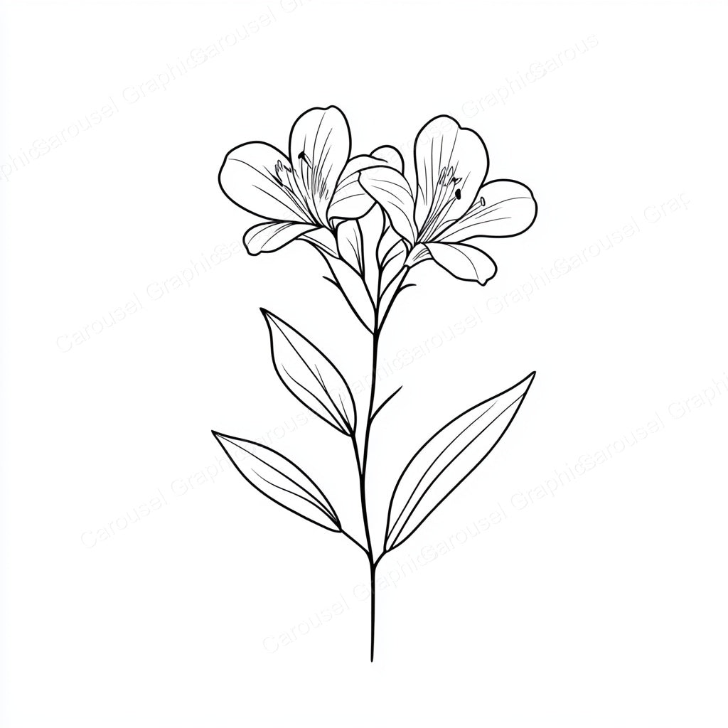 Alstroemeria Vector Graphic preview