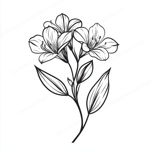 Alstroemeria Vector Graphic preview