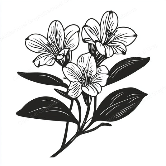 Alstroemeria Vector Graphic preview