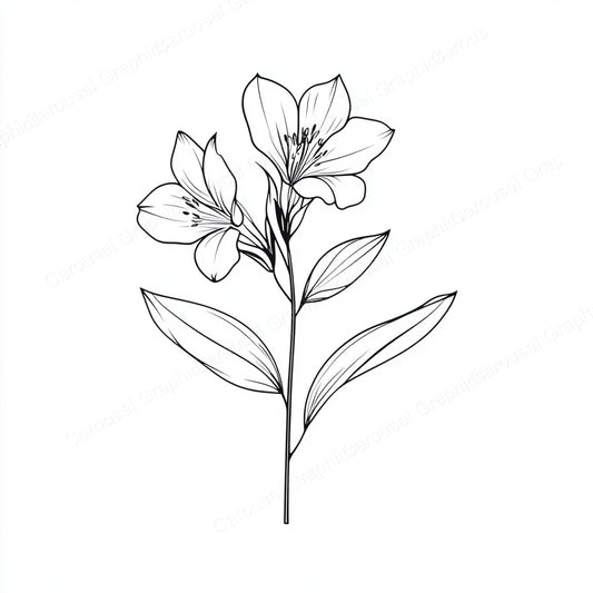 Alstroemeria Vector Graphic preview