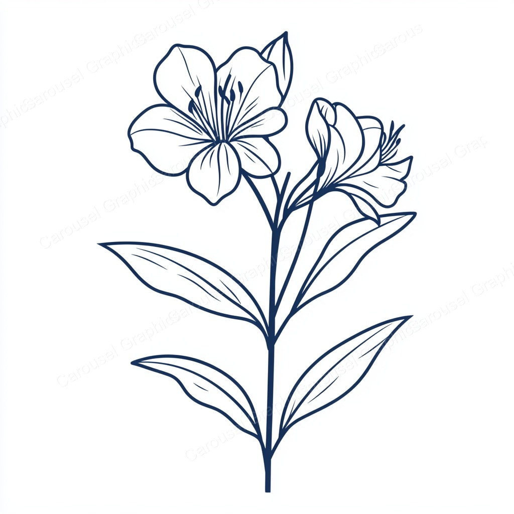 Alstroemeria Vector Graphic preview