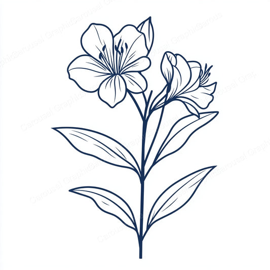 Alstroemeria Vector Graphic preview