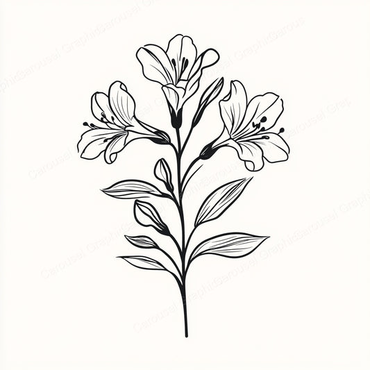 Alstroemeria Vector Graphic preview