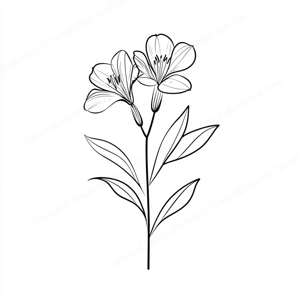 Alstroemeria Vector Graphic preview
