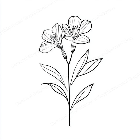 Alstroemeria Vector Graphic preview