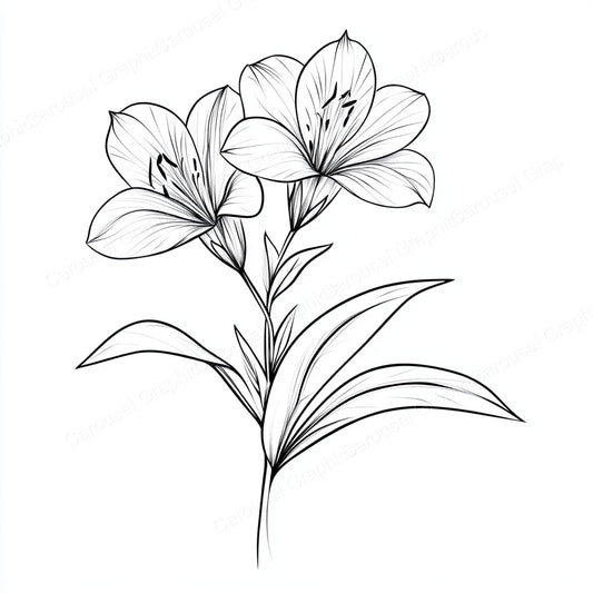 Alstroemeria Vector Graphic preview