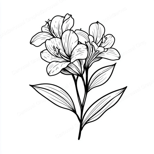 Alstroemeria Vector Graphic preview