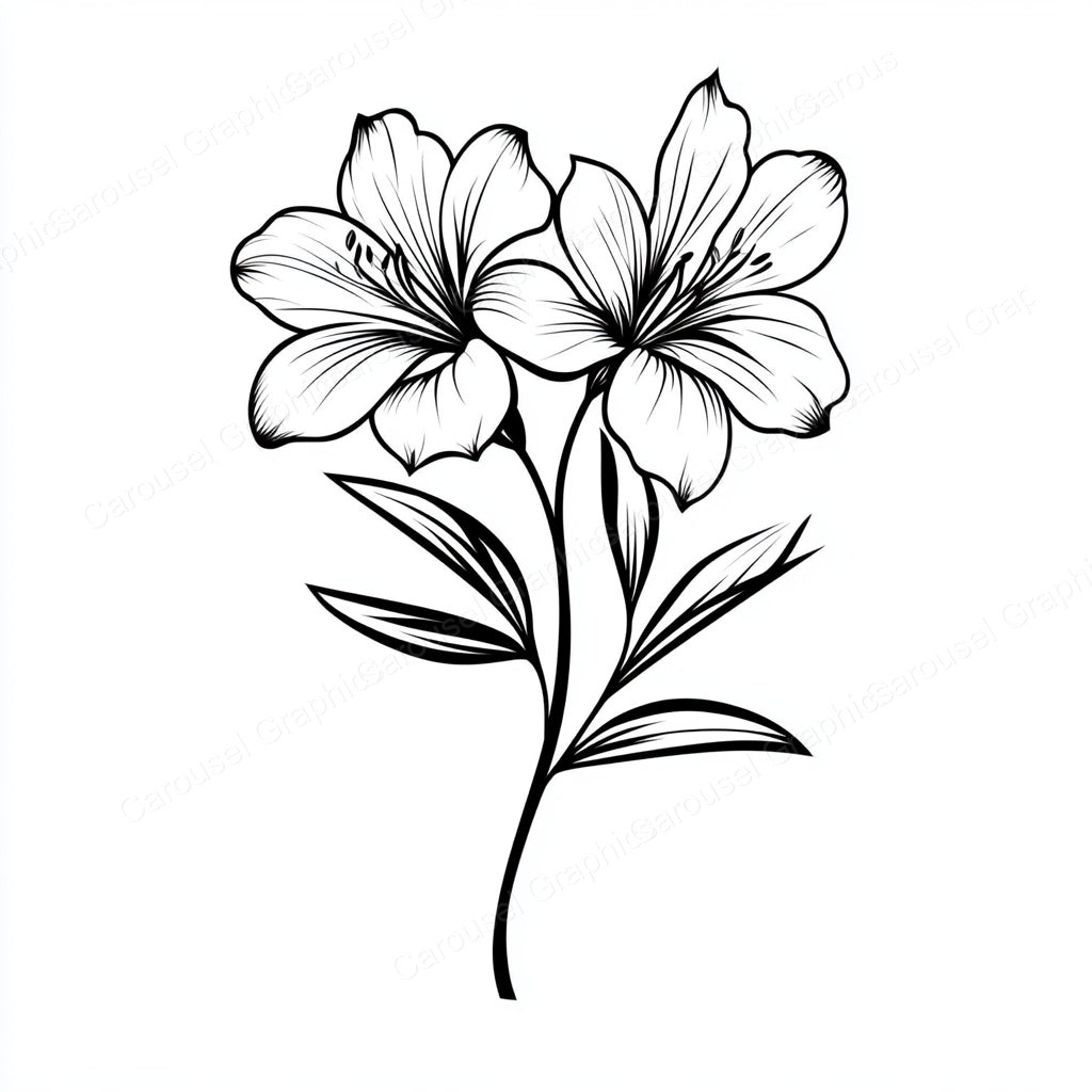 Alstroemeria Vector Graphic preview