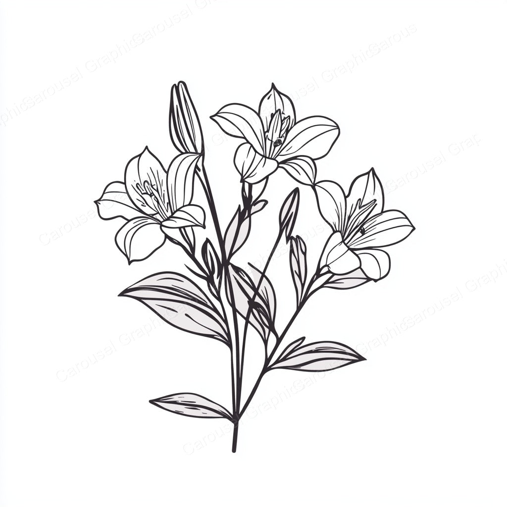 Alstroemeria Vector Graphic preview