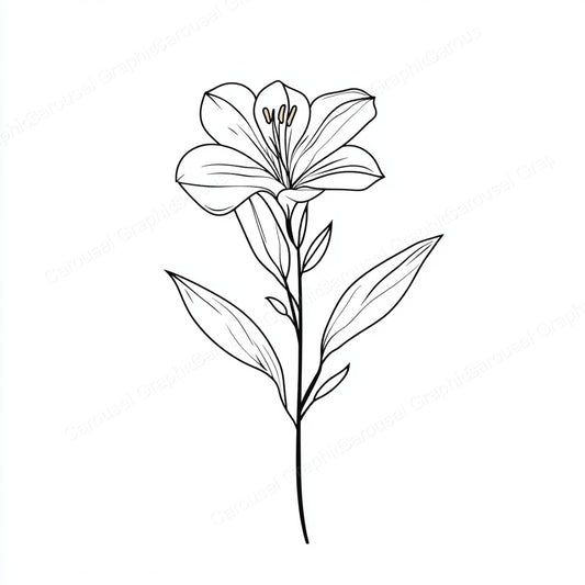 Alstroemeria Vector Graphic preview