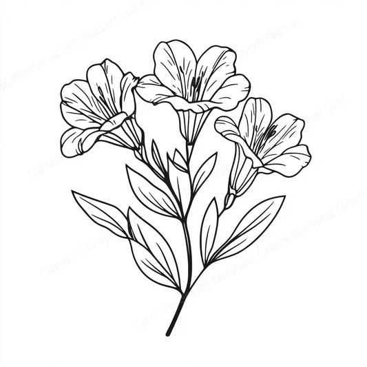 Alstroemeria Vector Graphic preview