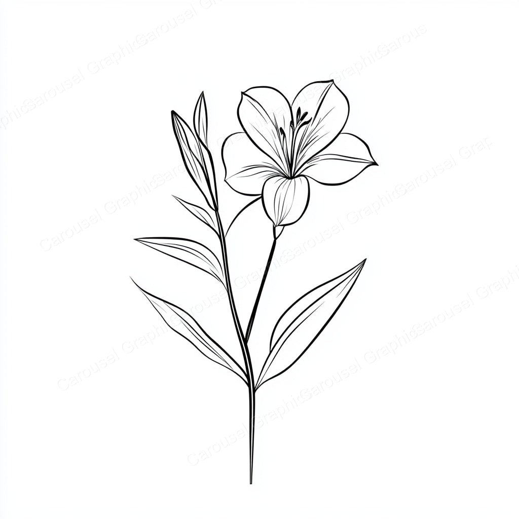 Alstroemeria Vector Graphic preview