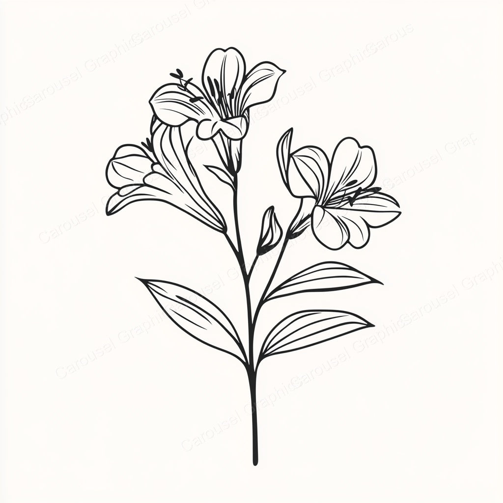 Alstroemeria Vector Graphic preview