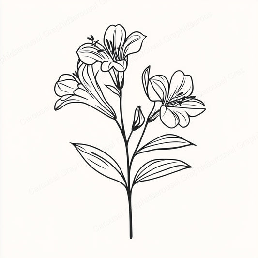 Alstroemeria Vector Graphic preview