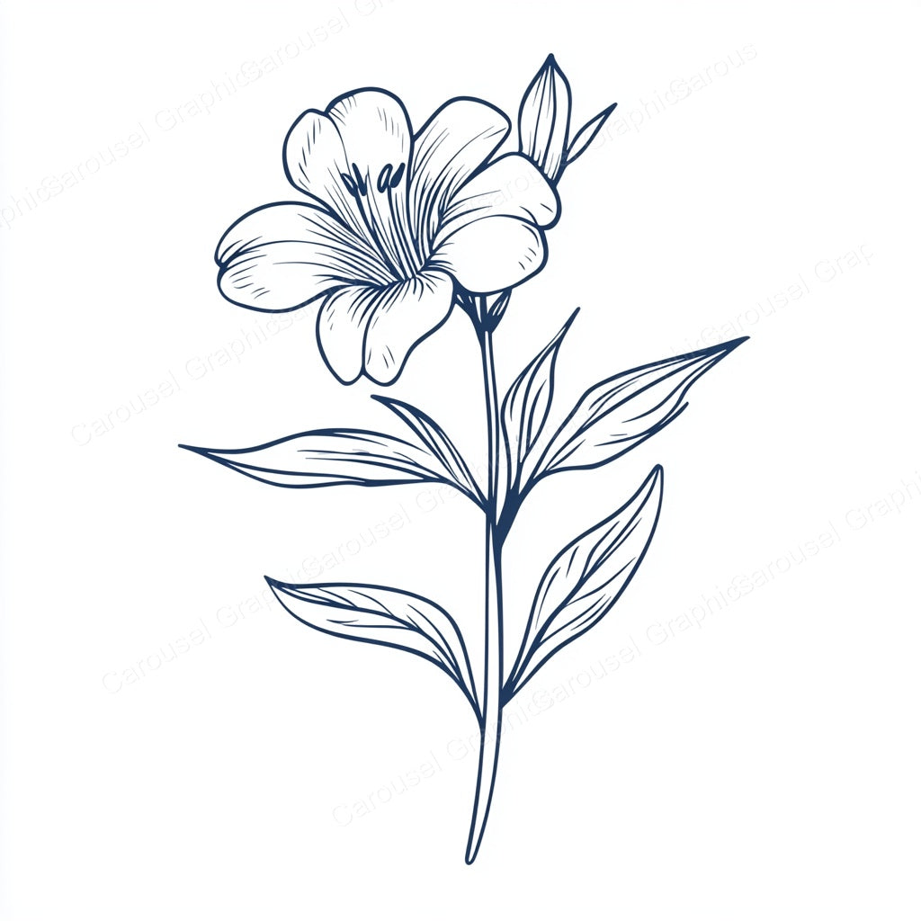 Alstroemeria Vector Graphic preview