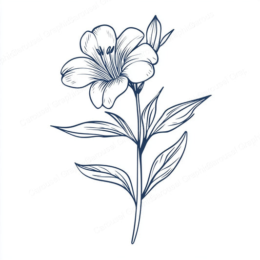 Alstroemeria Vector Graphic preview