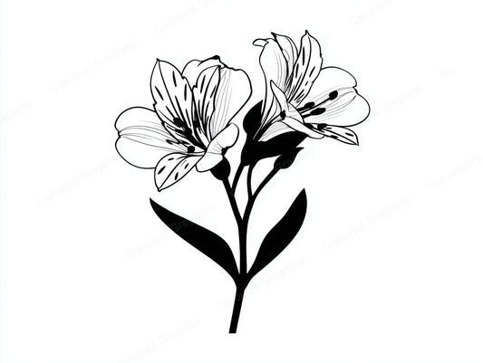 Alstroemeria Vector Graphic preview