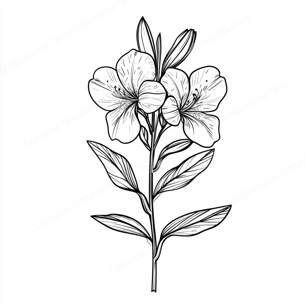 Alstroemeria Vector Graphic preview