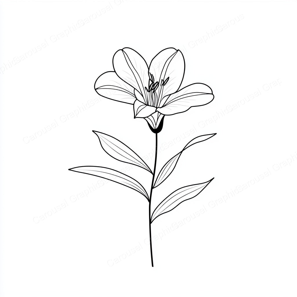 Alstroemeria Vector Graphic preview