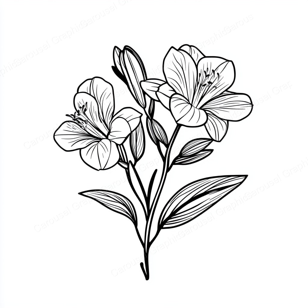 Alstroemeria Vector Graphic preview
