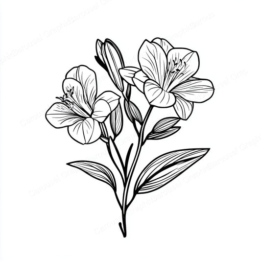 Alstroemeria Vector Graphic preview