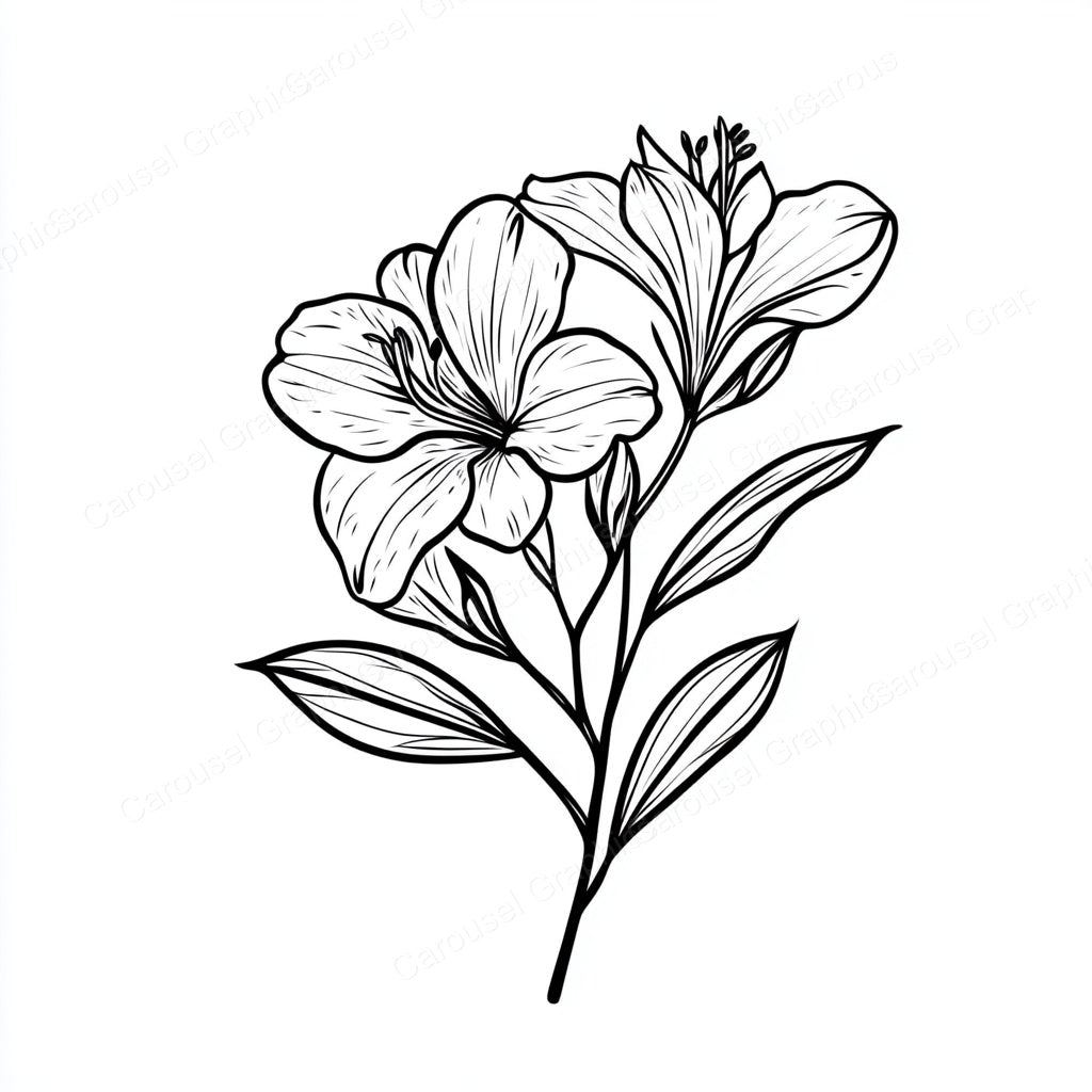 Alstroemeria Vector Graphic preview