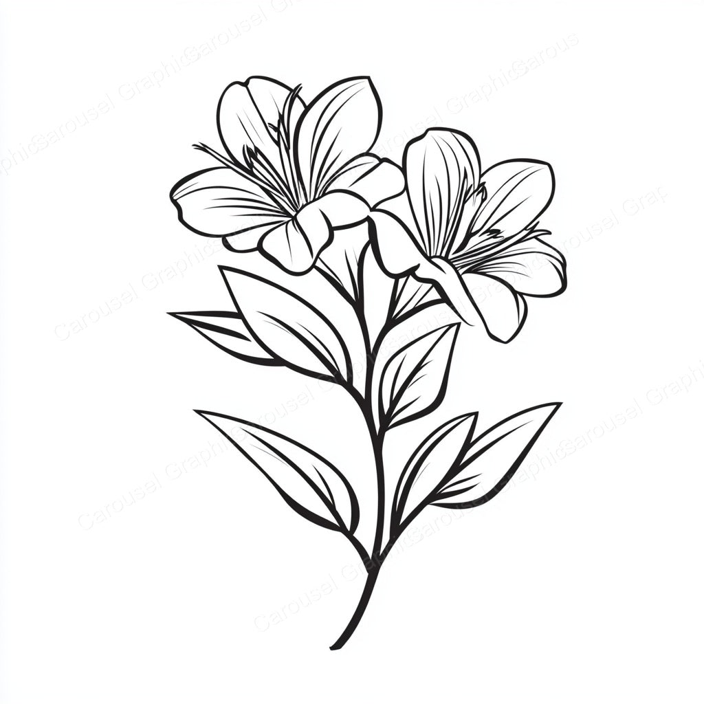 Alstroemeria Vector Graphic preview