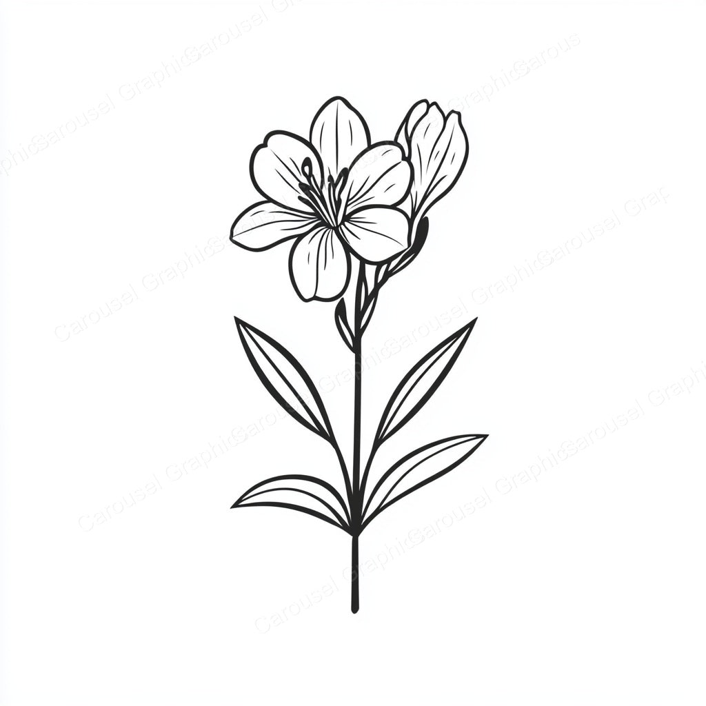 Alstroemeria Vector Graphic preview