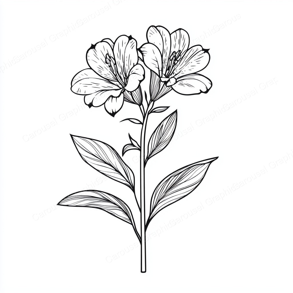Alstroemeria Vector Graphic preview