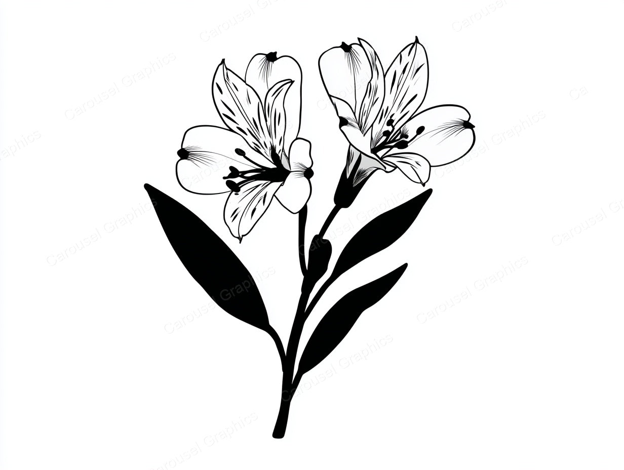 Alstroemeria Vector Graphic preview