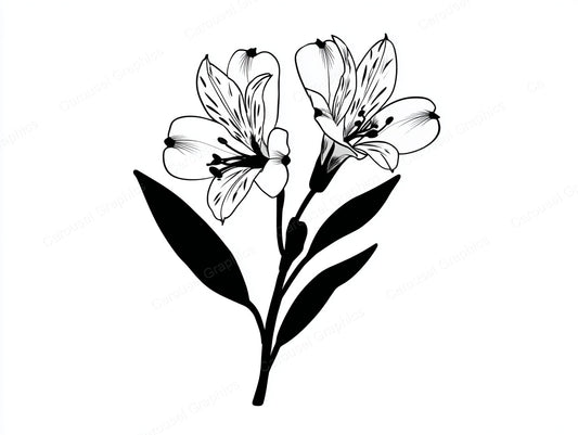 Alstroemeria Vector Graphic preview