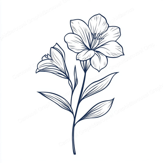 Alstroemeria Vector Graphic preview