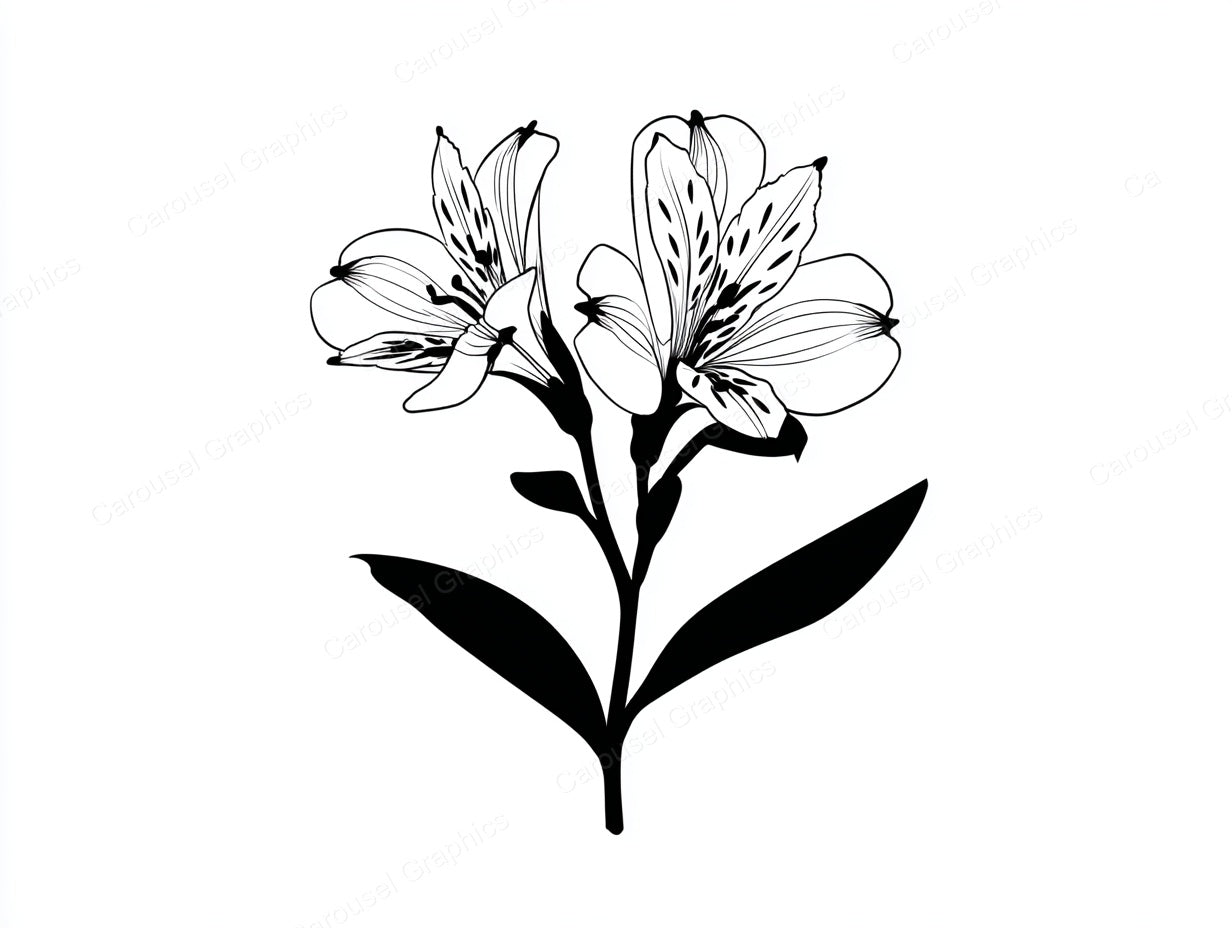 Alstroemeria Vector Graphic preview