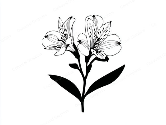 Alstroemeria Vector Graphic preview