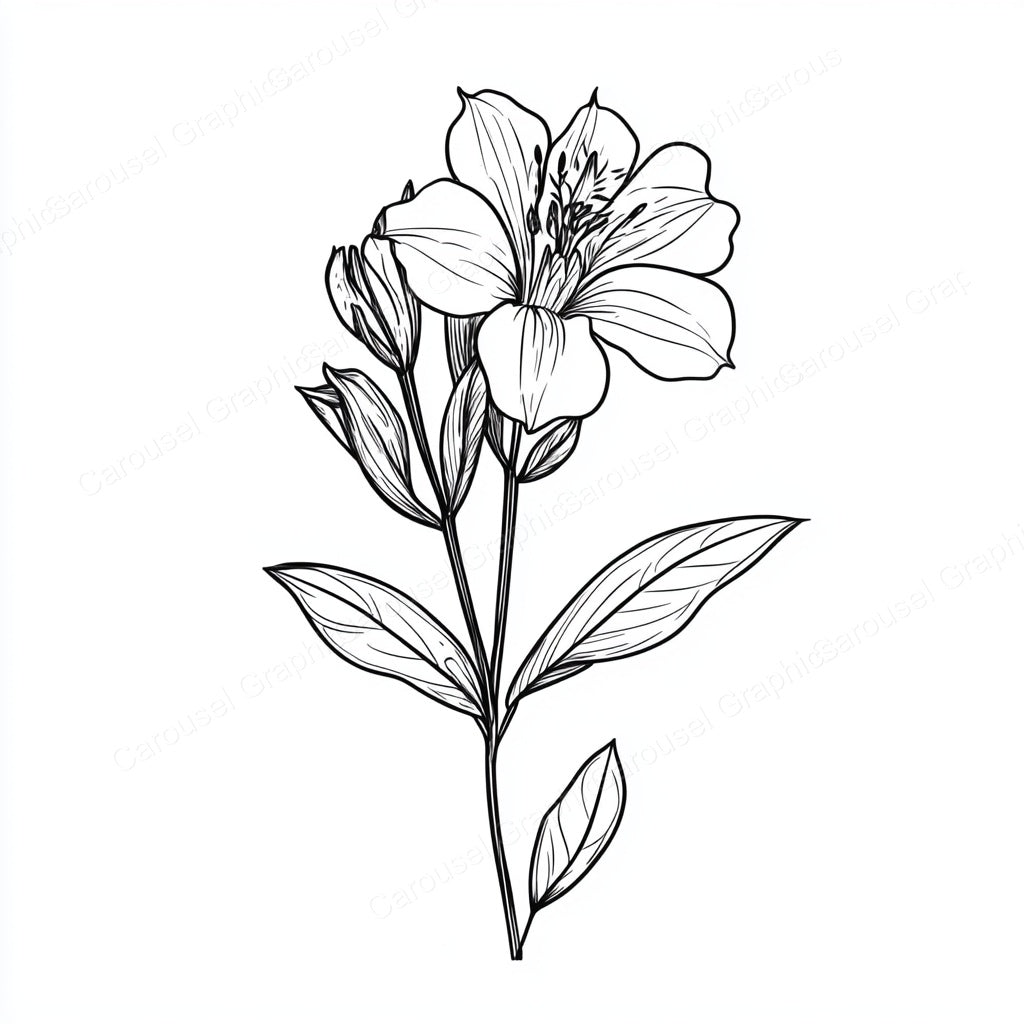 Alstroemeria Vector Graphic preview