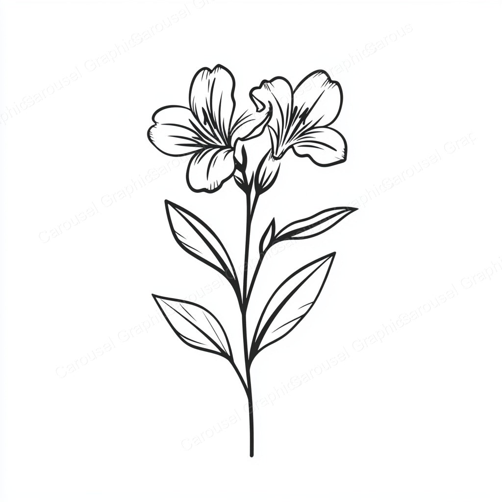 Alstroemeria Vector Graphic preview